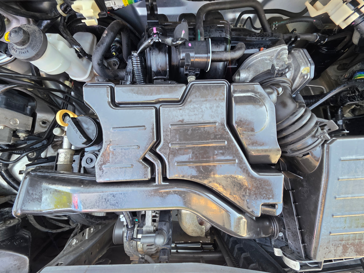 2019 Perodua AXIA 1.0 M - 1000 G FL (AT) - (SYC4213)